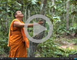 Forest Monk Video