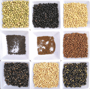 peregrine-illo---seeds