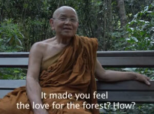 eco monk1