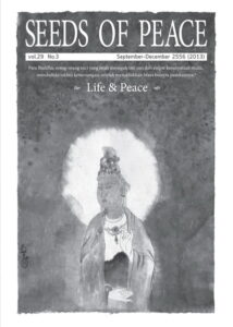seeds of peace_vol29no3_