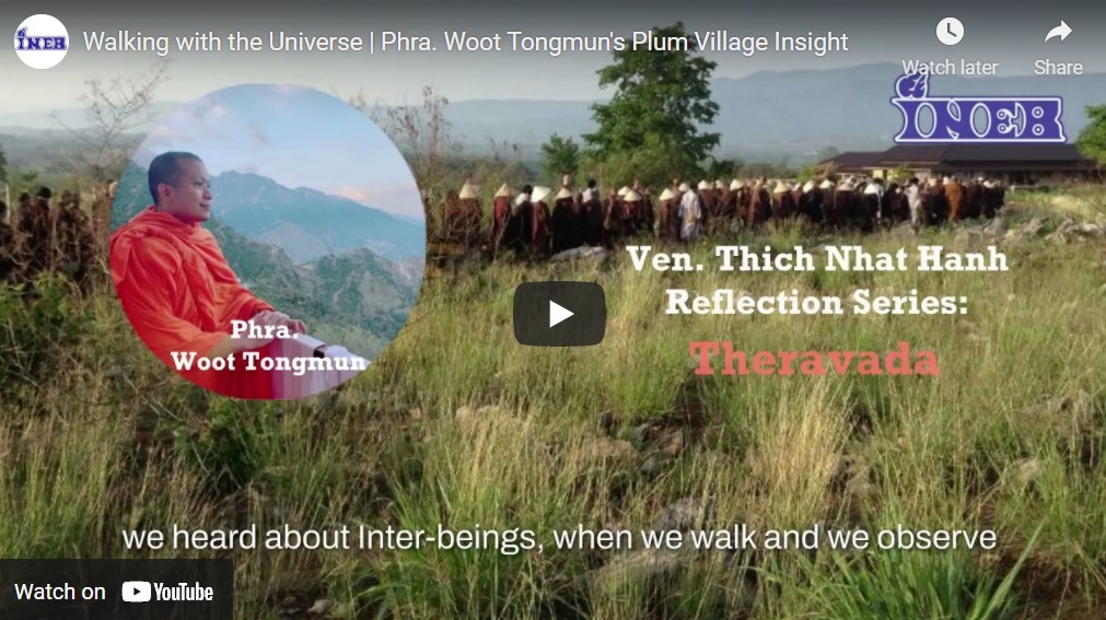 Walking with the Universe | Phra. Woot Tongmun’s Plum Village Insight